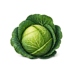 Cabbage
